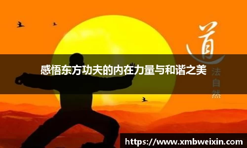 感悟东方功夫的内在力量与和谐之美